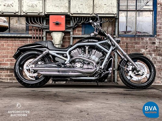 Harley Davidson Chopper VRSCA V-Rod 117 PS 2003, MN-GN-37.