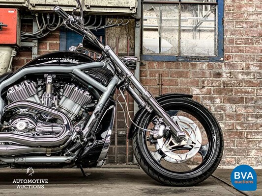 Harley Davidson Chopper VRSCA V-Rod 117 PS 2003, MN-GN-37.