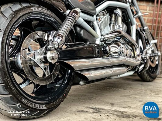 Harley Davidson Chopper VRSCA V-Rod 117 PS 2003, MN-GN-37.