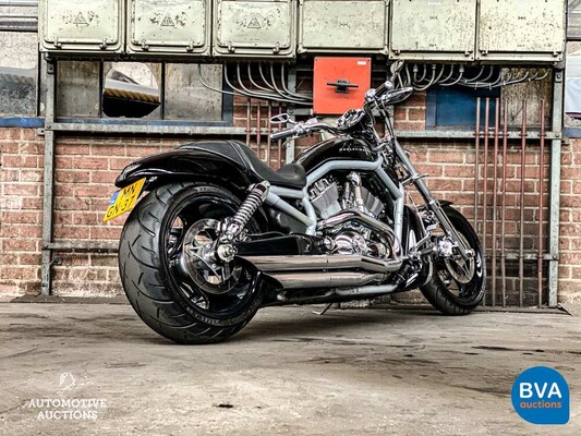 Harley Davidson Chopper VRSCA V-Rod 117 PS 2003, MN-GN-37.