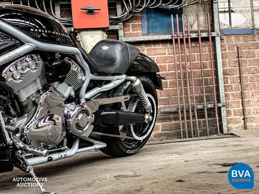 Harley Davidson Chopper VRSCA V-Rod 117 PS 2003, MN-GN-37.