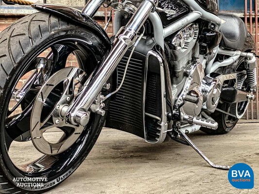 Harley Davidson Chopper VRSCA V-Rod 117 PS 2003, MN-GN-37.