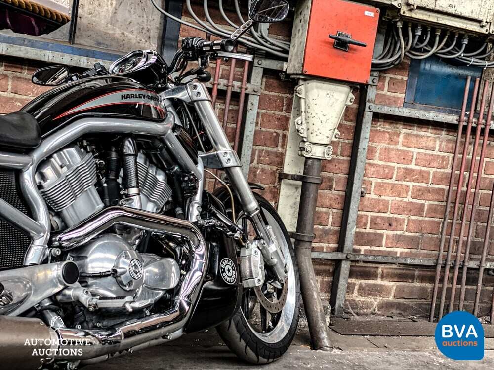 Harley Davidson Chopper VRSCR V-Rod 122 PS 2006, MT-LD-08.