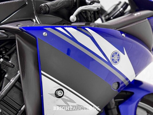 Yamaha YZF-R1 Sport 998cc 2009, 89-MB-FD