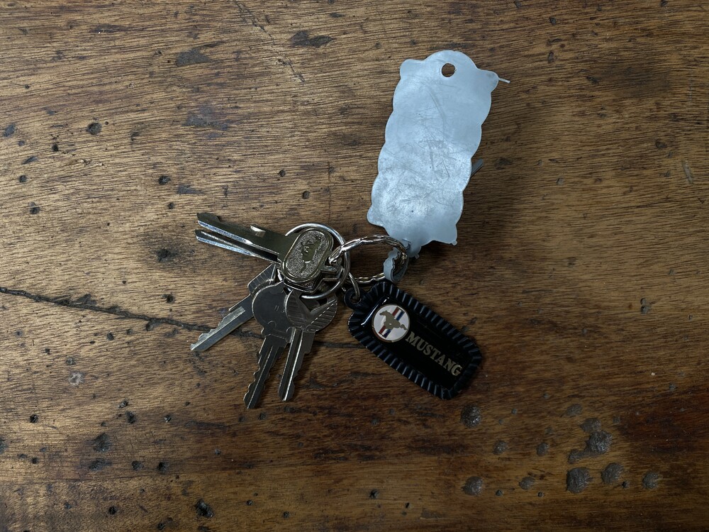 Ford Mustang 200pk 1966, PM-21-93