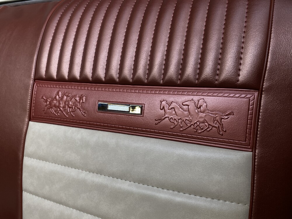 Ford Mustang 200pk 1966, PM-21-93