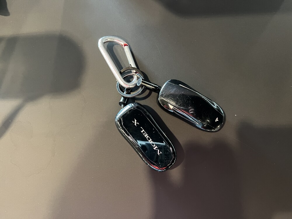 Tesla Model X 100D 417PS 2018 -Org. NL-, RZ-355-H.