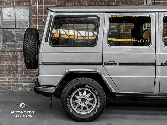 Mercedes-Benz 300GD Turbo Barndoors G-class 125hp 1980, P-061-DS.