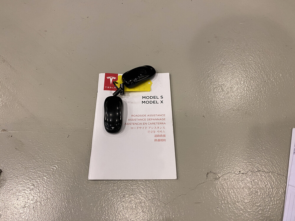 Tesla Model X 100D Leistung 417PS 2018, SZ-126-G