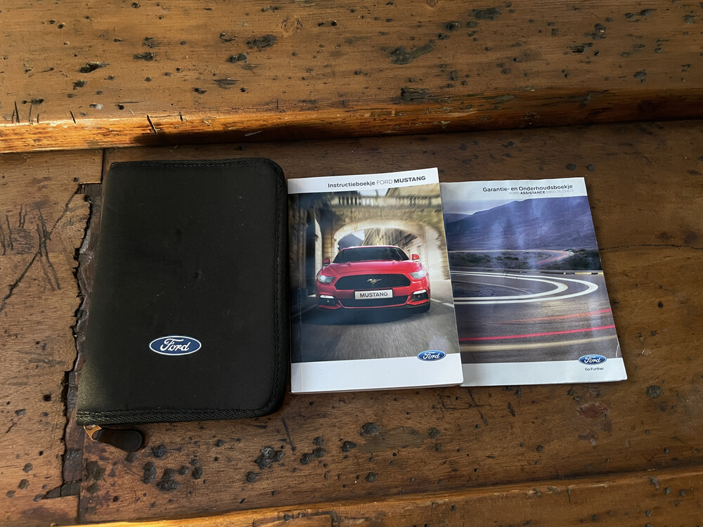 Ford Mustang Fastback EcoBoost 317hp 2016, JL-359-V