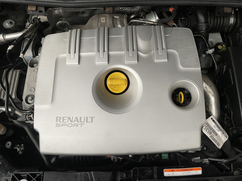 Renault Megane RS Trophy Coupe 2.0 16V Turbo 273PS 2017