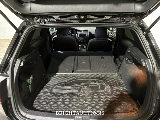 Volkswagen Golf GTI Performance (VII / MK7 / Golf 7) 396pk 2014