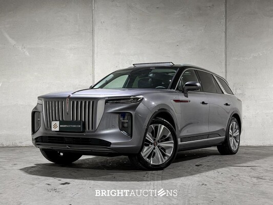 BRIGHT AUCTIONS: Electric Cars (EV) - Tiel & Boxmeer