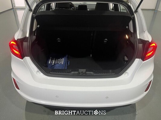 Ford Fiesta Titanium 1.0 EcoBoost 101pk 2018 (Origineel-NL), RR-343-Z