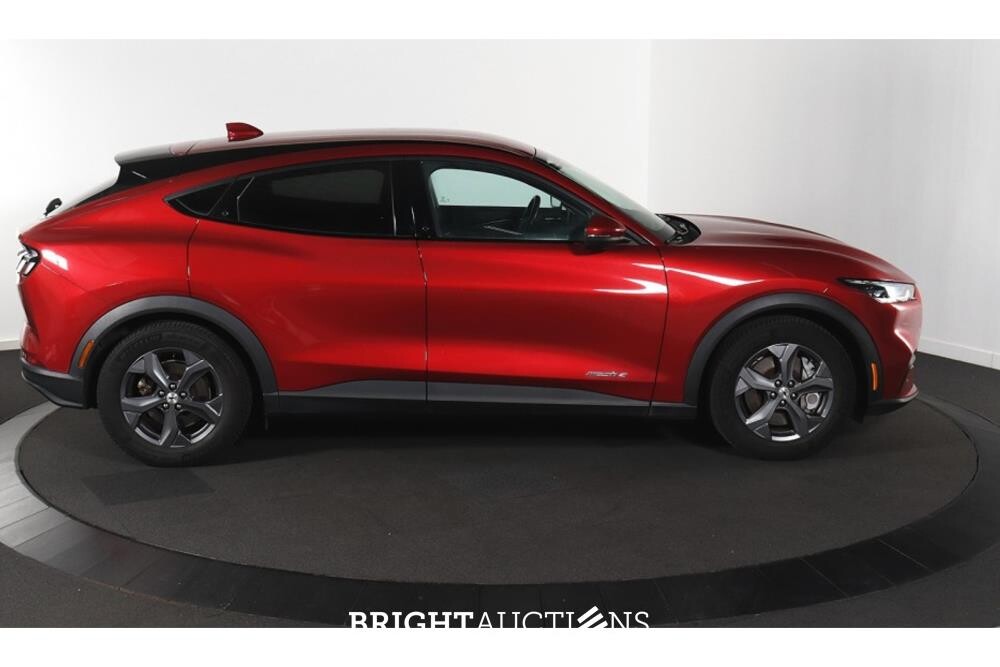 Ford Mustang RWD 75 kWh 269pk 2022 (Origineel-NL), P-598-LD