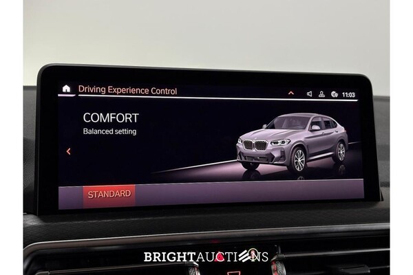 BMW X4 Business Edition Plus xDrive 183pk 2023 (Origineel-NL), T-496-JN