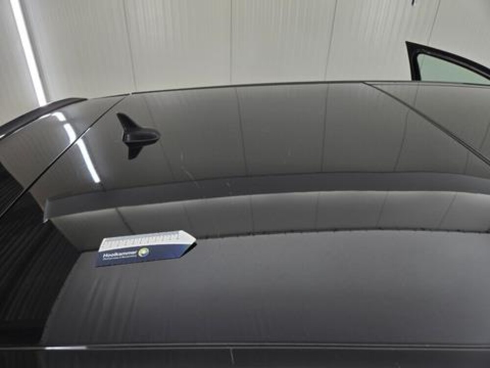 Volkswagen Golf GTI TCR 2.0 TSI 290hp 2019, T-176-XR