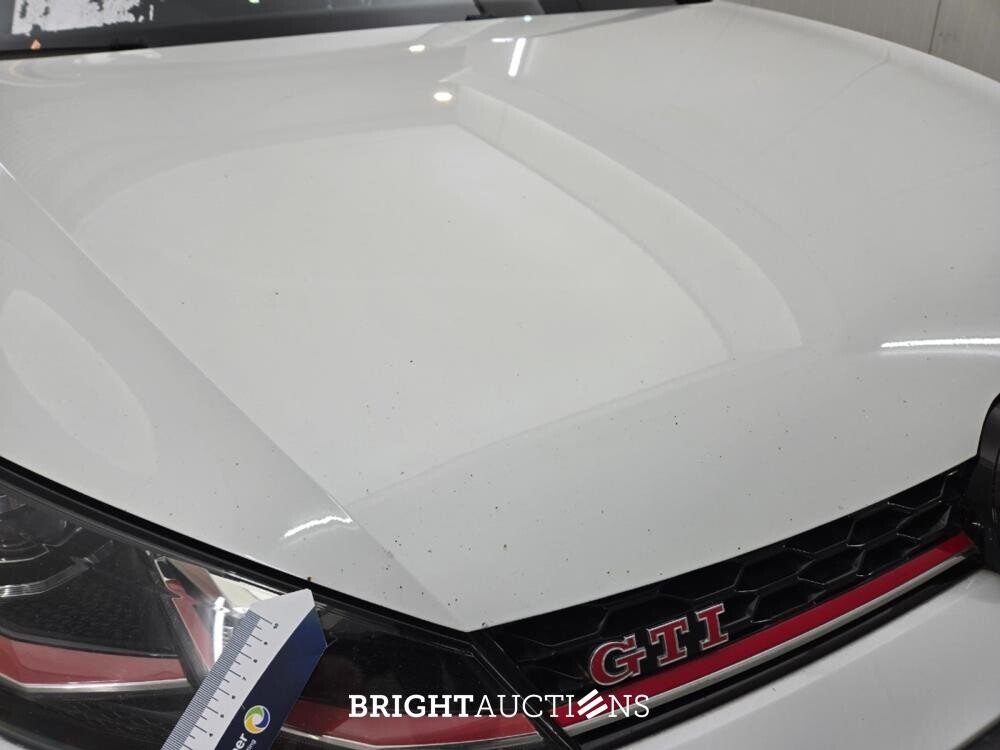 Volkswagen Golf GTI Leistung 2.0 TSI 245hp 2017, L-416-LR