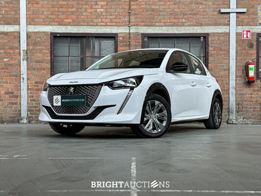 BRIGHT AUCTIONS: Electric Cars (EV) - Boxmeer & Milsbeek