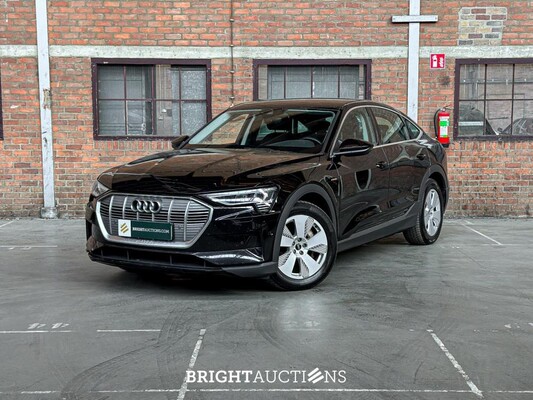 BRIGHT AUCTIONS: Electric Cars (EV) - Milsbeek