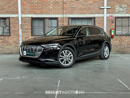 BRIGHT AUCTIONS: Electric Cars (EV) - Milsbeek