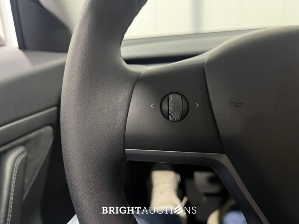Tesla Model 3 Standard RWD Plus 60 kWh 238pk 2020 (Origineel-NL), H-529-JL