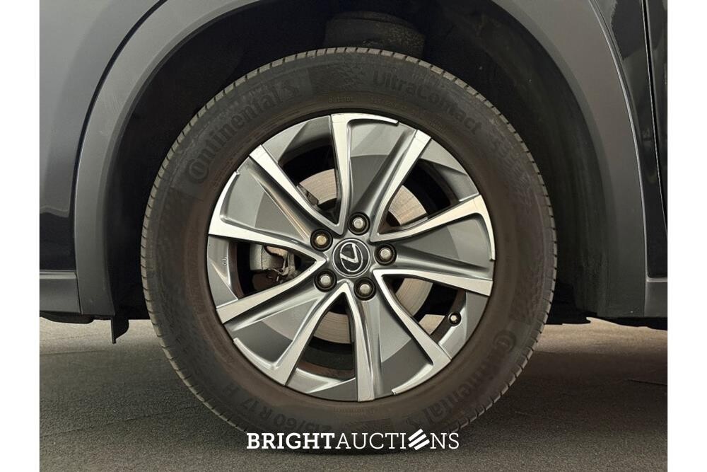 Lexus UX 300e 54 kWh 204hp 2021 (Original-NL), N-970-KZ