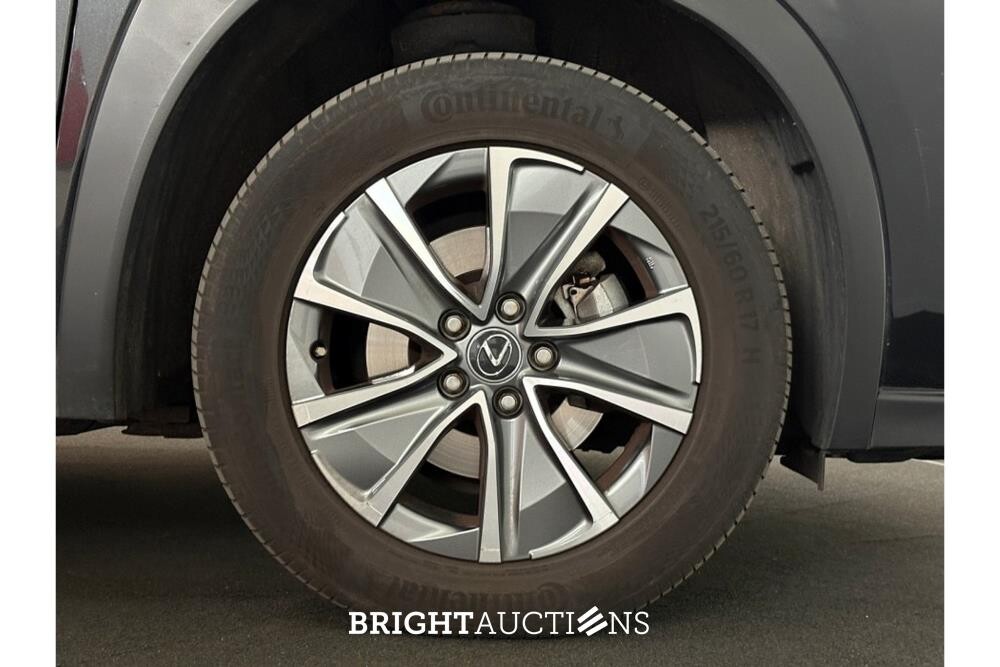 Lexus UX 300e 54 kWh 204pk 2021 (Origineel-NL), N-970-KZ