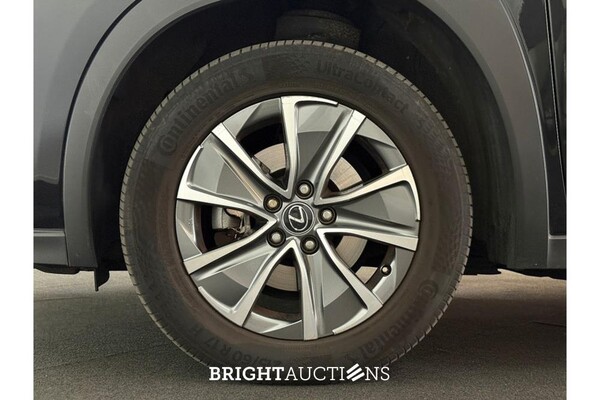 Lexus UX 300e 54 kWh 204hp 2021 (Original-NL), N-970-KZ
