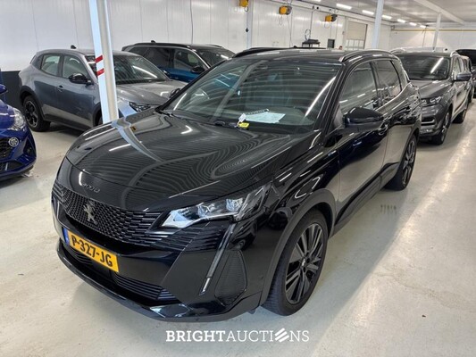 BRIGHT AUCTION: Premium Daily Driver & Electric Vehicle Auction