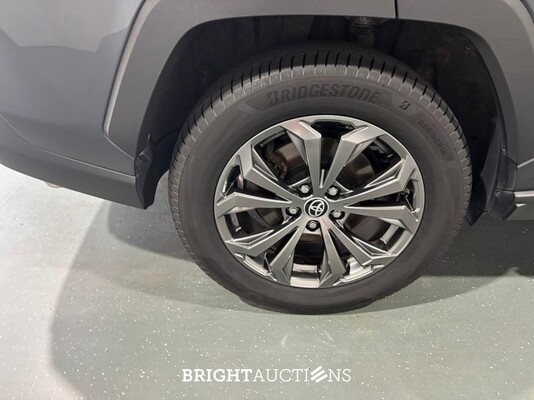 Toyota RAV4 Hybrid 2.5 AWD 352pk 2022 (Origineel-NL), P-221-SF
