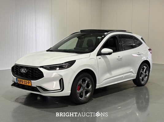 BRIGHT AUCTIONS: Premium Daily Driver Auction