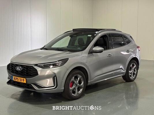BRIGHT AUCTIONS: Premium Daily Driver Auction