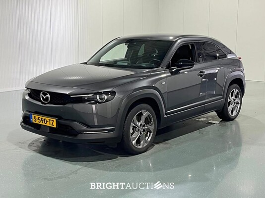 BRIGHT AUCTION: Luxury, Premium Daily Driver & Electric Vehicle Auction
