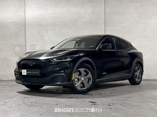 BRIGHT AUCTIONS: Electric Cars (EV) - Tiel