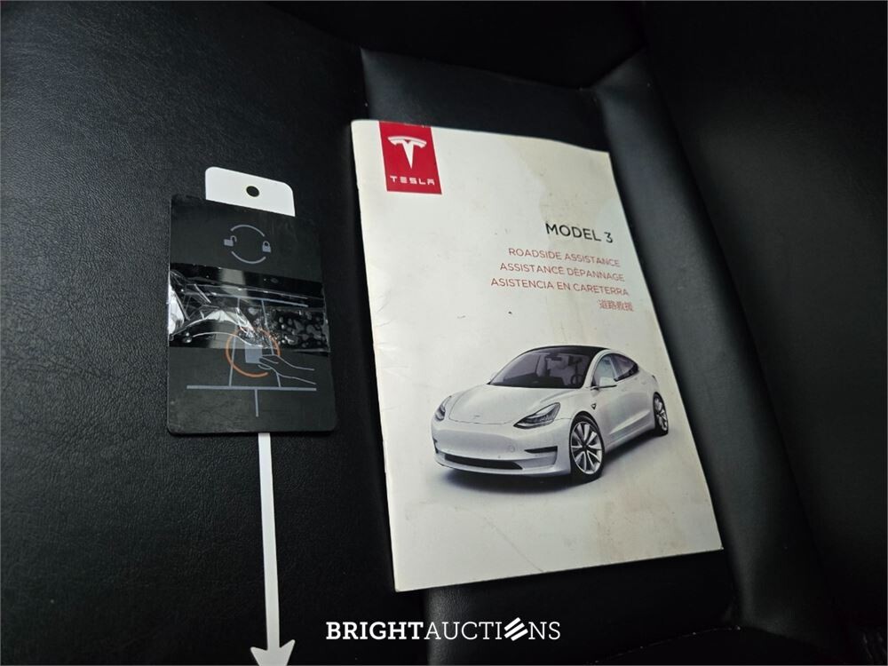 Tesla Model 3 Standard RWD Plus 60 kWh 238pk 2019 (Origineel-NL), G-349-DS