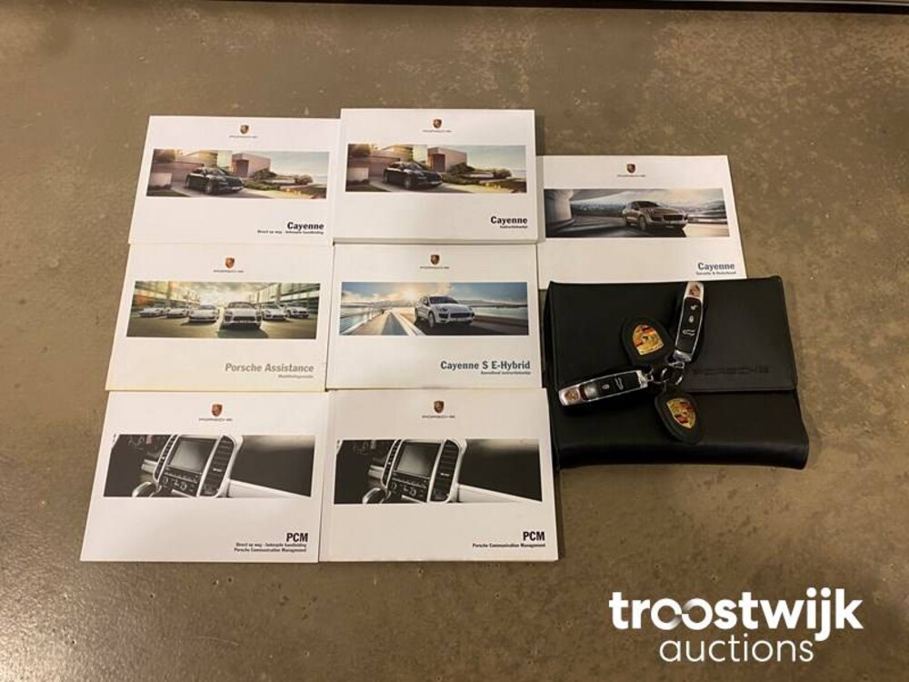 Porsche Cayenne S E-Hybrid 3.0 Car