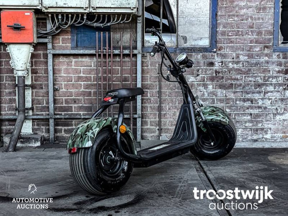 Citycoco S9 Scooter City Bigwheel Roller