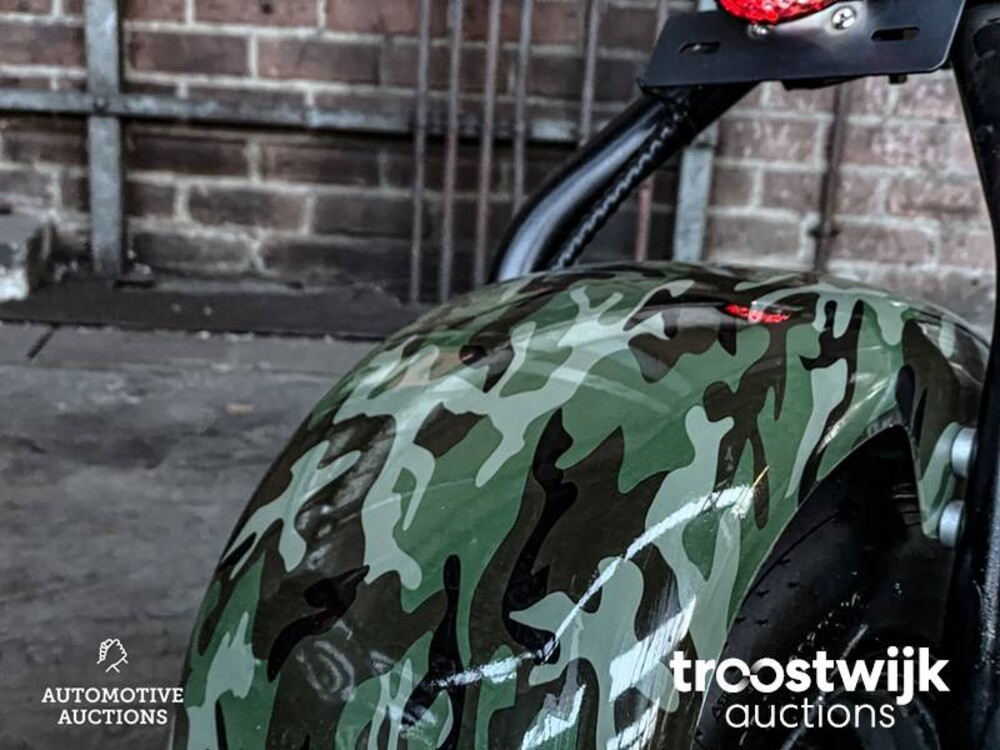 Citycoco S9 Scooter City Bigwheel Roller