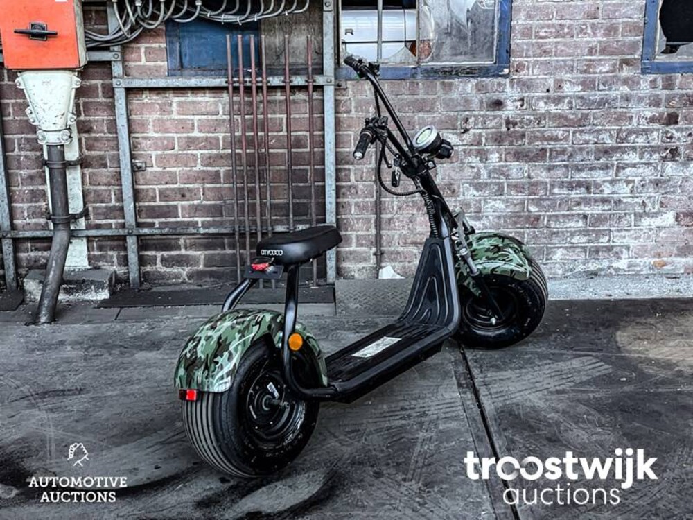 Citycoco S9 Scooter City Bigwheel Roller