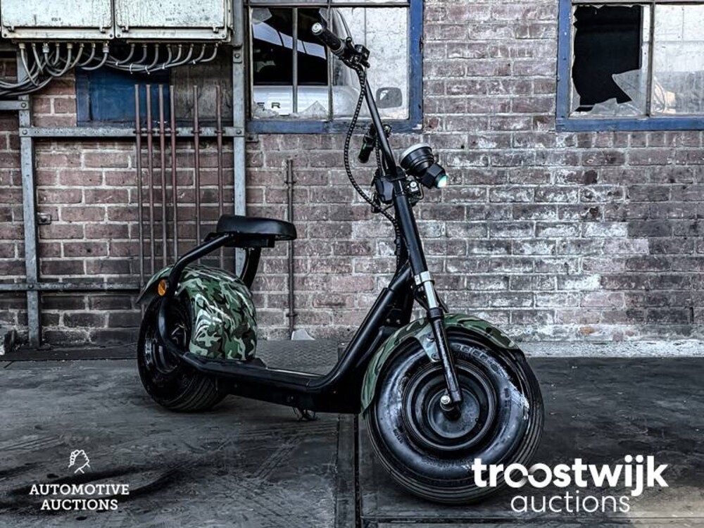 Citycoco S9 Scooter City Bigwheel Roller