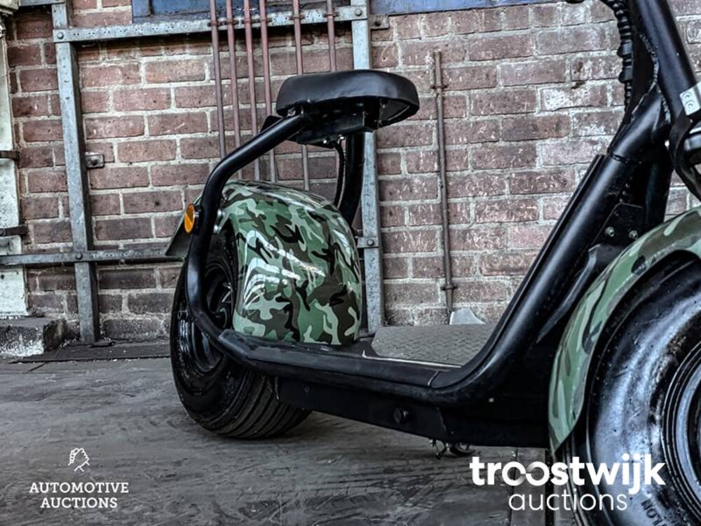 Citycoco S9 Scooter City Bigwheel Roller