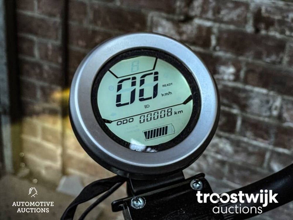 Citycoco S9 Scooter City Bigwheel Roller