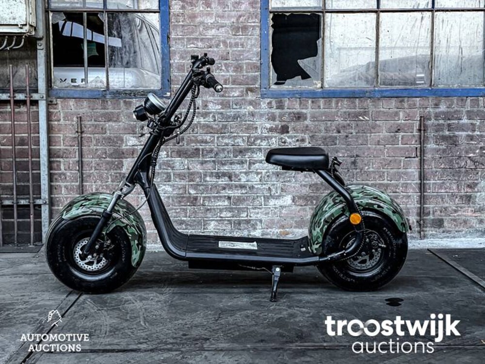 Citycoco S9 Scooter City Bigwheel Roller