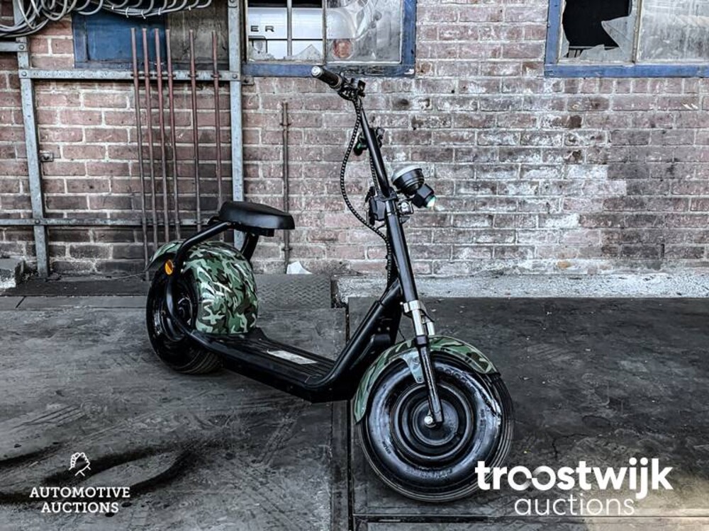 Citycoco S9 Scooter City Bigwheel Roller