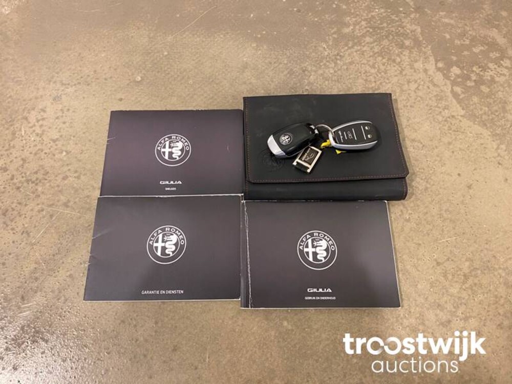 Alfa Romeo Giulia 2.2 Eco Business Auto