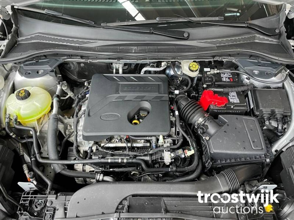 Ford Escape SE EcoBoost 1.5 Car