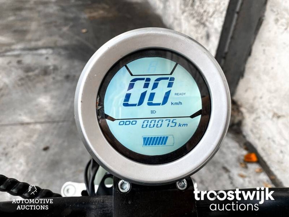 Citycoco Schnurrbart-Roller -NEU-