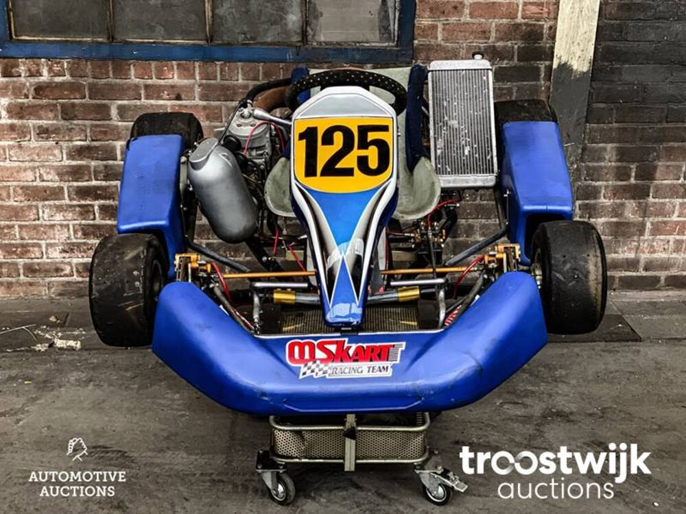 Kart 125ccm Schaltgetriebe