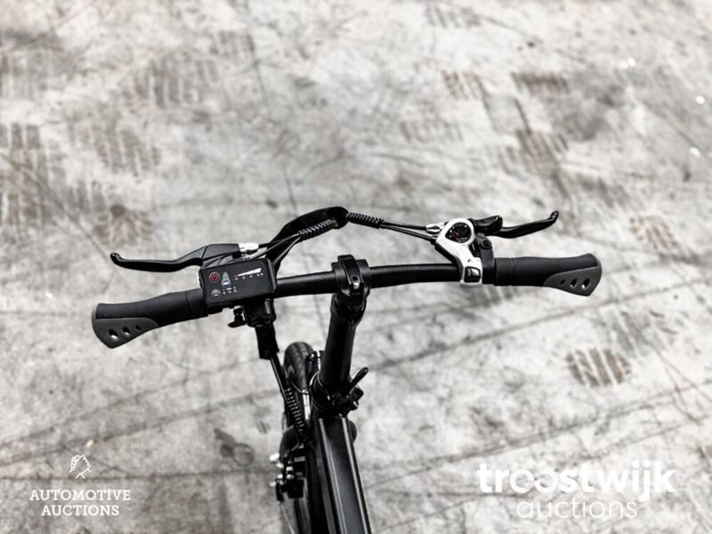 Bimas electric bike